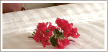 ���s��Зl������������ | PIC���]�[�g�I�t�B�V�����T�C�g
