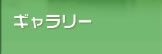 フォトギャラリー